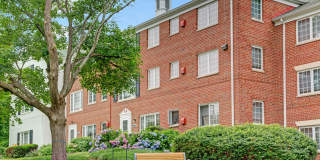 Braddock Lee Apartments Gallery 19