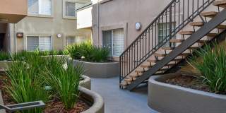 Magnolia Terrace Gallery 20