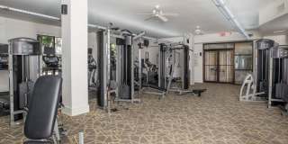 Braeswood Place Gallery 34