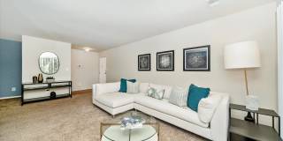 The Worthington Gallery 14