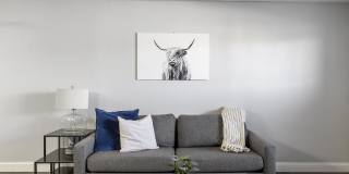 Quail Ridge Gallery 65
