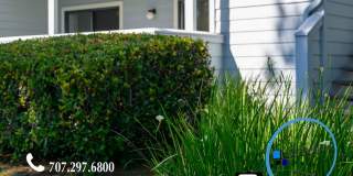 Glen Cove downstairs condo! Gallery 1