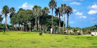 8430 Harding Ave Gallery 61