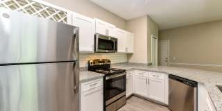 Paradise Island Gallery 1