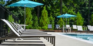 Potomac Towers Gallery 6