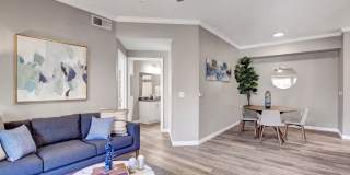 Broadleaf Apartments Gallery 5