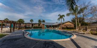 Sea Oats Sea Oats Gallery 44