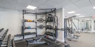 Wellington Parkside Gallery 13