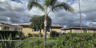 1095 E Nocta Street Gallery 1