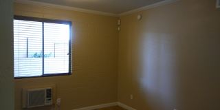 4401 N 12th St Unit 101 Gallery 5