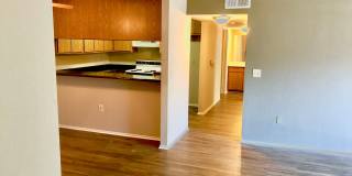 Hillgrove Creek Gallery 3