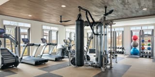 Salado at Red Berry Gallery 21