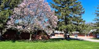 207 Pfeffer Rd Gallery 1