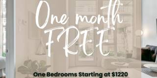 Stadia Med Main Gallery 1