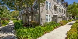 The Presidio Apartments Gallery 49