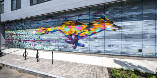 The Indie Gallery 5