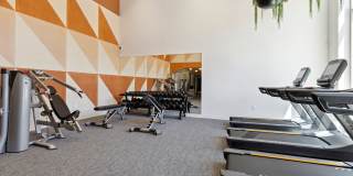 Esox House Gallery 57