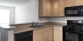 Prynne Hills Gallery 92