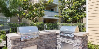 Woodland Meadow Gallery 4