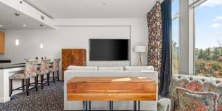 Fully Furnished Studio Condo at The Adelicia Gallery 17