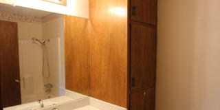 Beautiful 3 Bed 2 Bath Home in Tyler's Azalea District Gallery 16