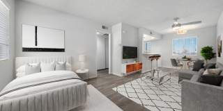 Newport Apartments Gallery 6