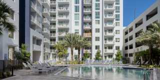 Tortoise One Gallery 29