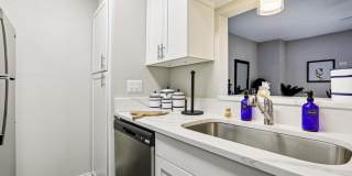 The Sonata Gallery 8