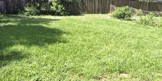 2 bedroom 1 bath - Move in special Gallery 12