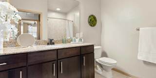 Mosaic Westshore Gallery 26