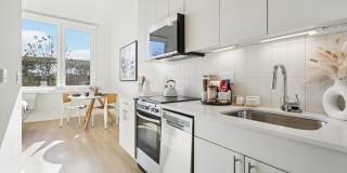 The Hazel Gallery 46