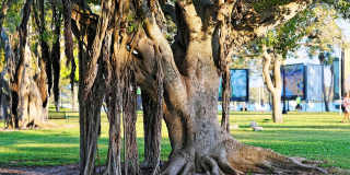 835 S OSPREY AVENUE Gallery 43