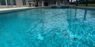 16628 PALM SPRING Drive Gallery 29
