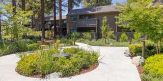 Old Orchard Apartments Gallery 32