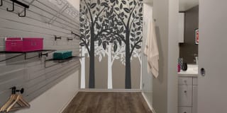 AVA 55 Ninth Gallery 14