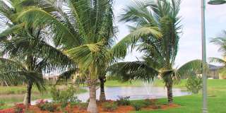 Vero Beach Rentals. Vero Beach Homes For Rent. Vero Beach Rent, LLC and Property Management Company Gallery 39