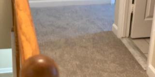 15531 PEACH WALKER Drive Gallery 41