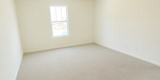 14229 Whistling Teal Drive Gallery 6
