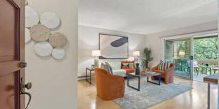 505 Cypress Point Dr Unit 31 505 Cypress Point Dr Unit 31 Gallery 2