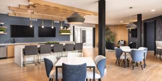 The Lincoln Gallery 15