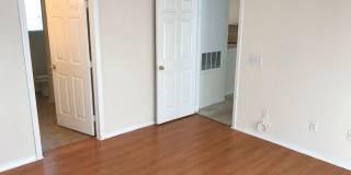 Beautiful 1-Bedroom Apartment for Rent in Mosaic at Millenia Gallery 8