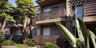 Elán Avante Apartment Homes Gallery 2