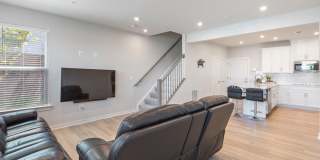 44504 WOLFHOUND Square Gallery 3