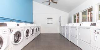 The Dylan Apartments Gallery 5