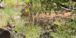 61301 Benham Road Gallery 4