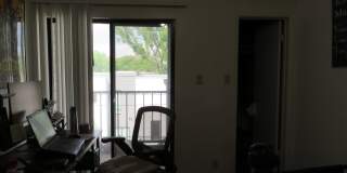 WINDTREE 306 Gallery 11