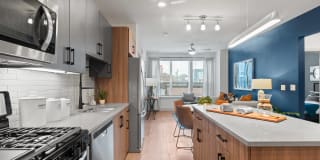 Vero Apartments Gallery 4