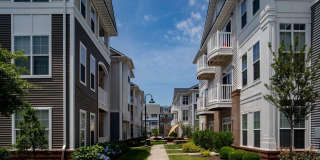 Cambria at Cornerstone Apartments Gallery 96