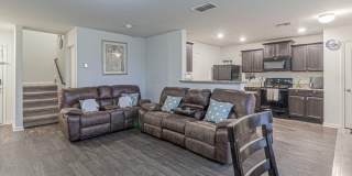 2831 Lavender Gallery 4