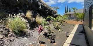 Aloha Always LLC Gallery 28